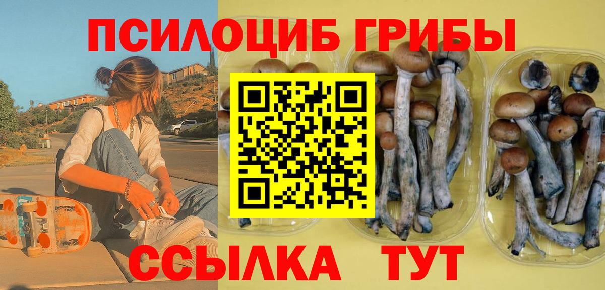 Псилоцибиновые грибы Magic Shrooms  Галлюциногенные грибы мицелий  Кизилюрт  Вход с VPN 